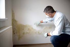 Best Mold Prevention Services  in Keokea, HI